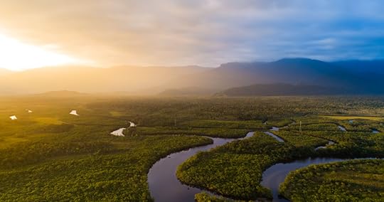 Amazon Rainforest