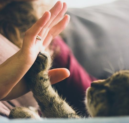 Nobody goes through life without both good and bad. Accepting that is empowering.