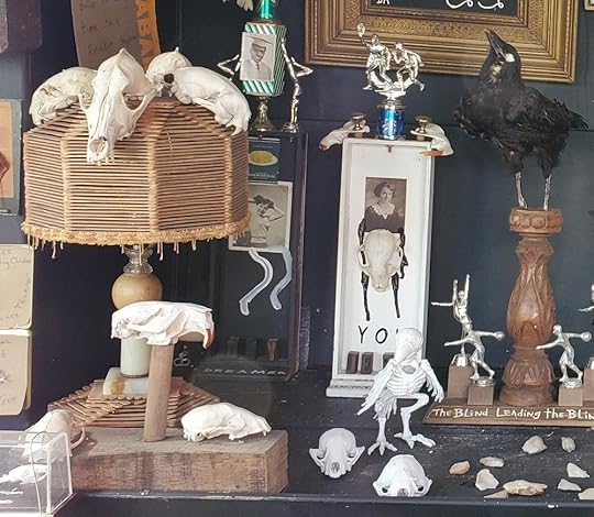 Museum of Wonder - Butch Anthony - Detail 1.jpg