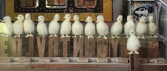 Museum of Wonder - Butch Anthony - Detail 2.jpg