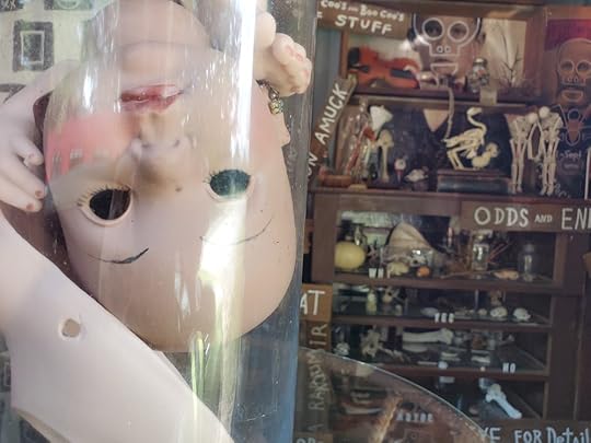 Museum of Wonder - Butch Anthony - Detail 5.jpg