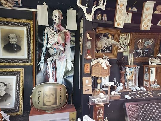 Museum of Wonder - Butch Anthony - Exhibit 1.jpg