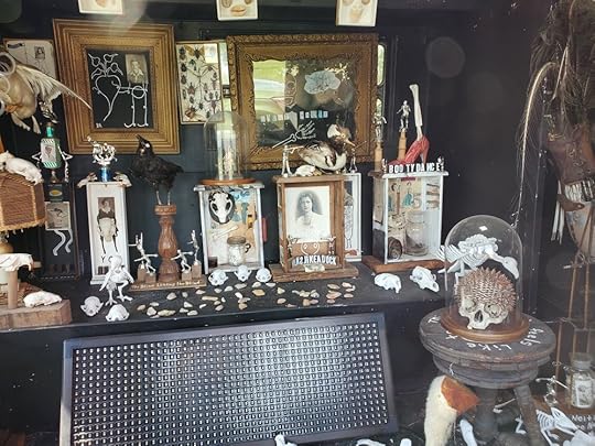 Museum of Wonder - Butch Anthony - Exhibit 2.jpg