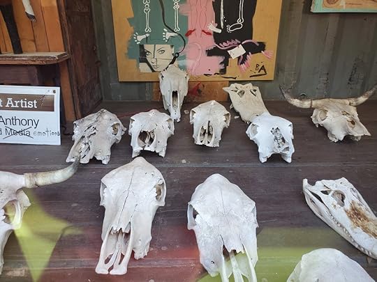 Museum of Wonder - Butch Anthony - Exhibit 9.jpg