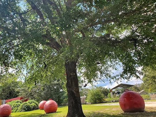 Museum of Wonder - Butch Anthony - Tree 3.jpg