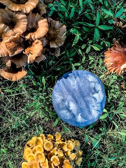 Spore prints from mushrooms found outdoors are an easy and beautiful way to study nature.