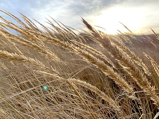 thesimplyluxuriouslife.com | The Simply Luxurious Life