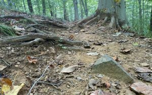 leadership strategy and tactics hurt