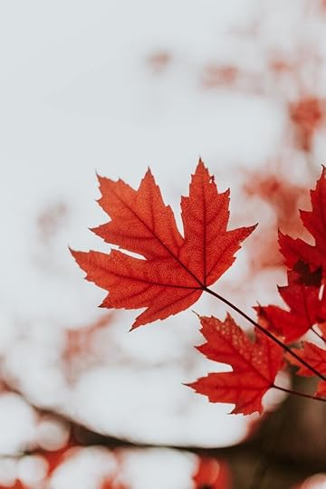 cole keister fall leaves