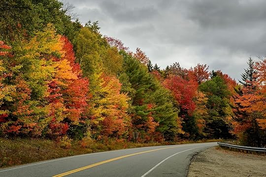 Kancamagus highway one of the best fall road trips in the US