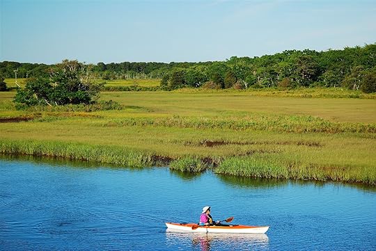 Person kayaking in Brewster, a Cape Cod town