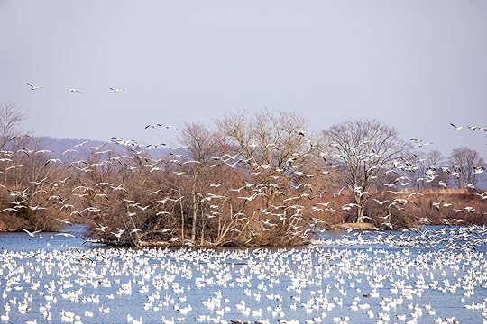 beautiful places wildlife study area