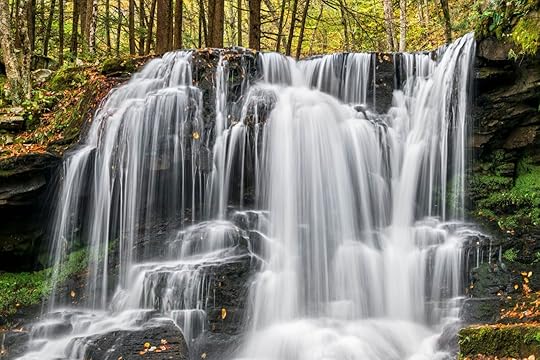 dry run falls