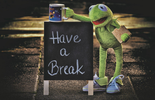 Kermit-g0d1b6d1df_1920 Pixabay
