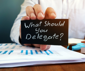 ceo delegation