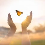 butterfly set free