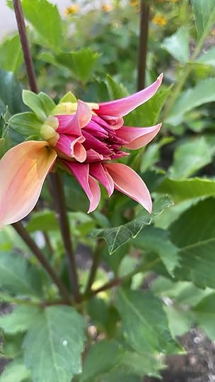 thesimplyluxuriouslife.com | The Simply Luxurious Life