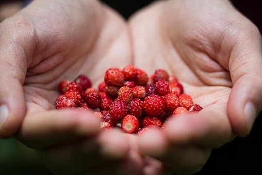 Foraging