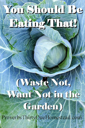 Waste Not Want Not in the Garden