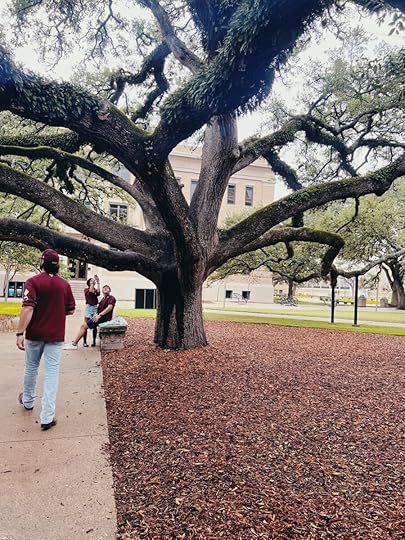Back-to-School Favorites From Team Joy the Baker