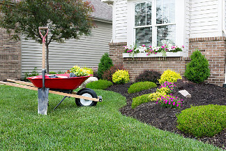 Neat yard