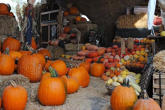 The Las Vegas Farm turns into a Las vegas pumpkin patch come fall