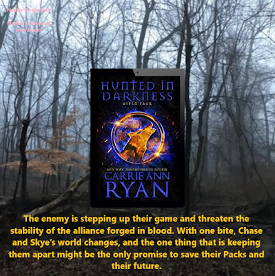 hunted in darkness by carrie ann ryan