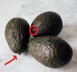 Three avocados, with the nubs marked.