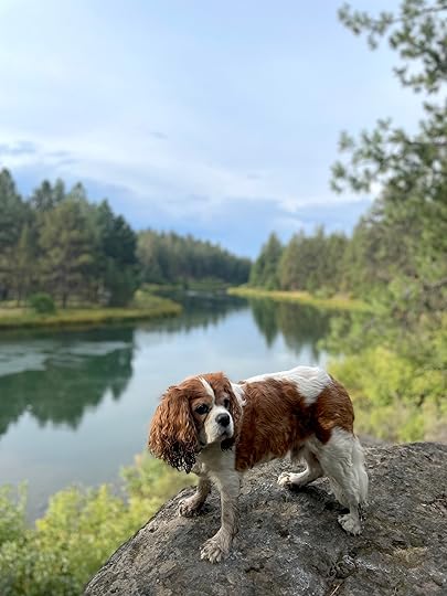 thesimplyluxuriouslife.com | The Simply Luxurious Life