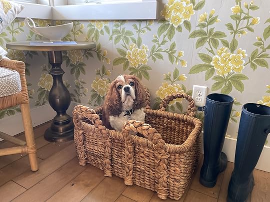 thesimplyluxuriouslife.com | The Simply Luxurious Life