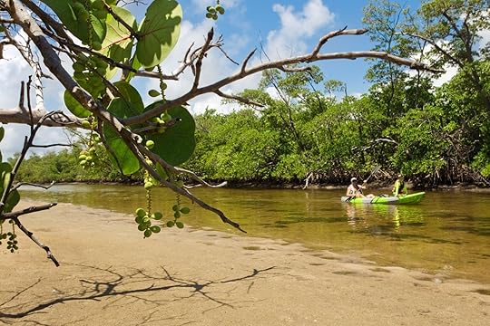 Couple on Whiskey Creek kayaking fort lauderdale