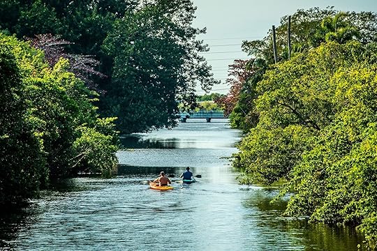 People kayaking in Fort Lauderdale at Victoria park
