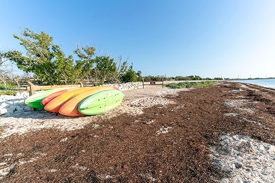 West Lake a great spot for kayaking fort lauderdale