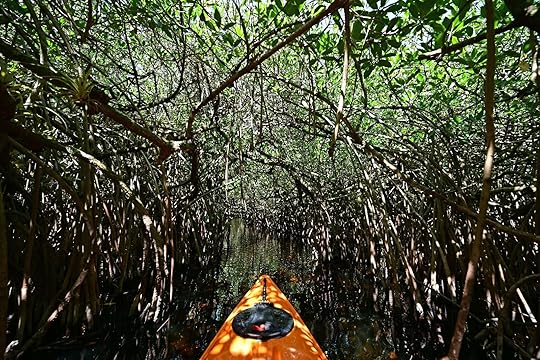 Pond Apple a great place for kayaking fort lauderdale