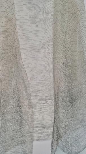 Doris Salcedo's Disremembered III