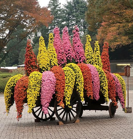 Bonsai chrysanthemum cart at Jindai Botanical Garden