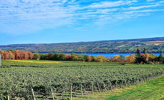 vineyard in the fall ovelrooking the finger lakes-finger lakes wineries