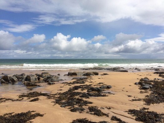 seaweed at St Combs Beach