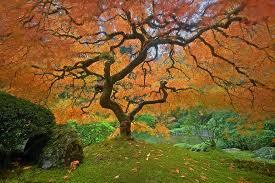 Autumn: A Time of Atonement and Bounty