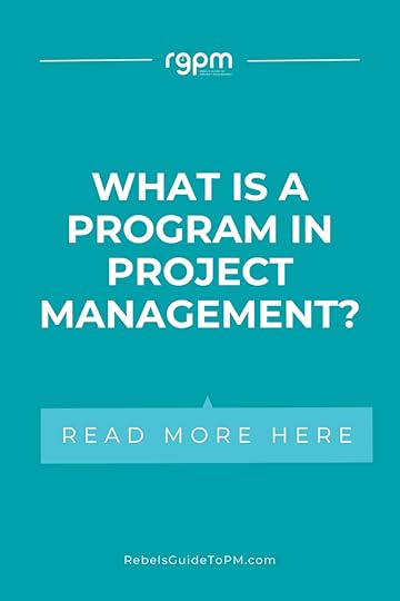 What is a program in project management