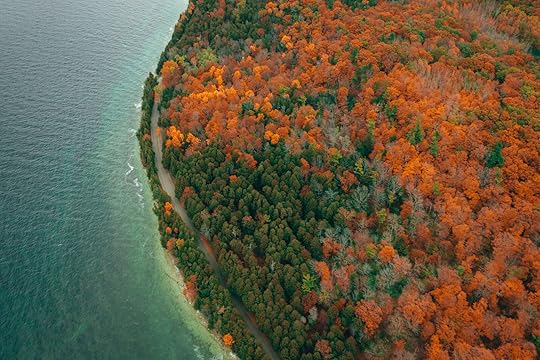 Aerial view of autumn forest in Peninsula State Park, Wisconsin. Road by the lake