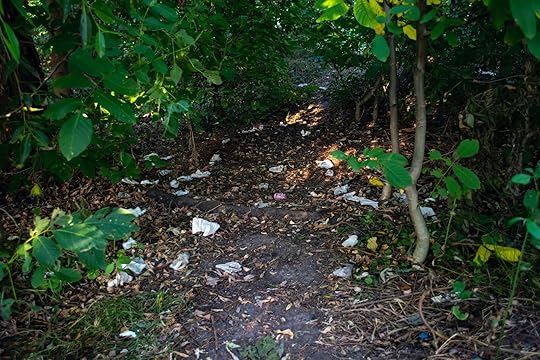 hiking path in the forest littered with toilet paper and plastic bottles