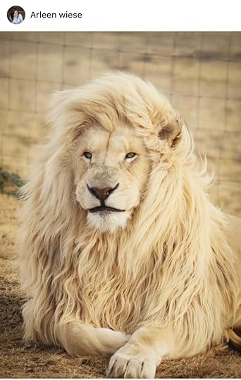 Lyin' or King?