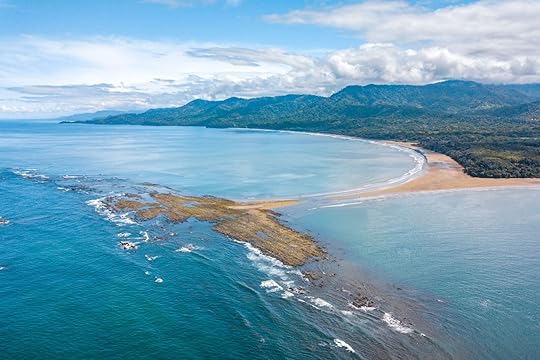 costa rica pacific beaches whales tail