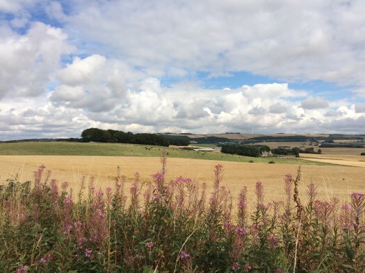 View from Daviot Stone Circle