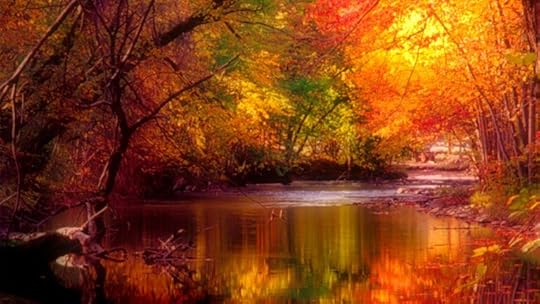 Vibrant 4