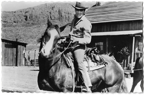 Elvis Presley in Flaming Star (1960)