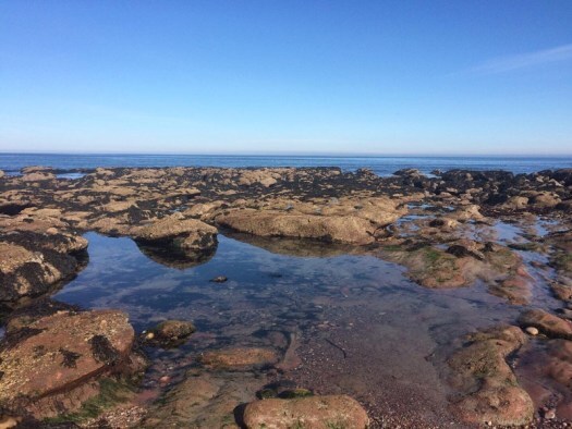 rockpool