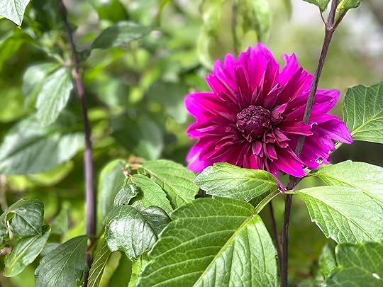 thesimplyluxuriouslife.com | The Simply Luxurious Life