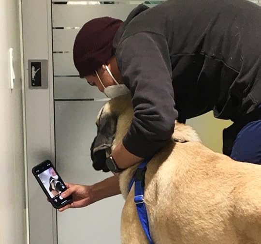 Big Dog at the ASPCA